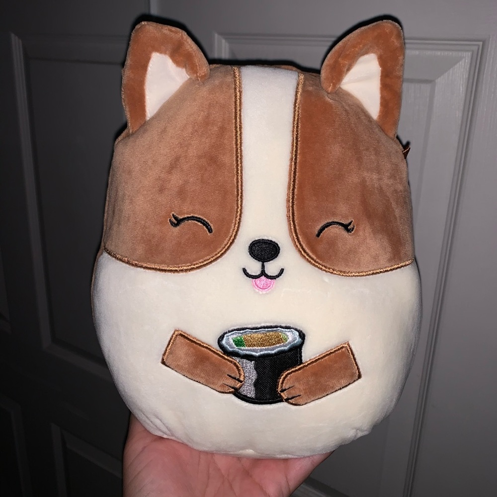 Squishmallow- Hot Topic Sushi Regina